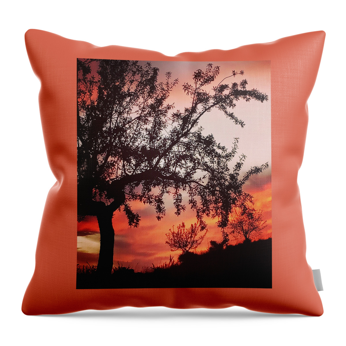 Colette Throw Pillow featuring the photograph Beautiful evening in Spain by Colette V Hera Guggenheim