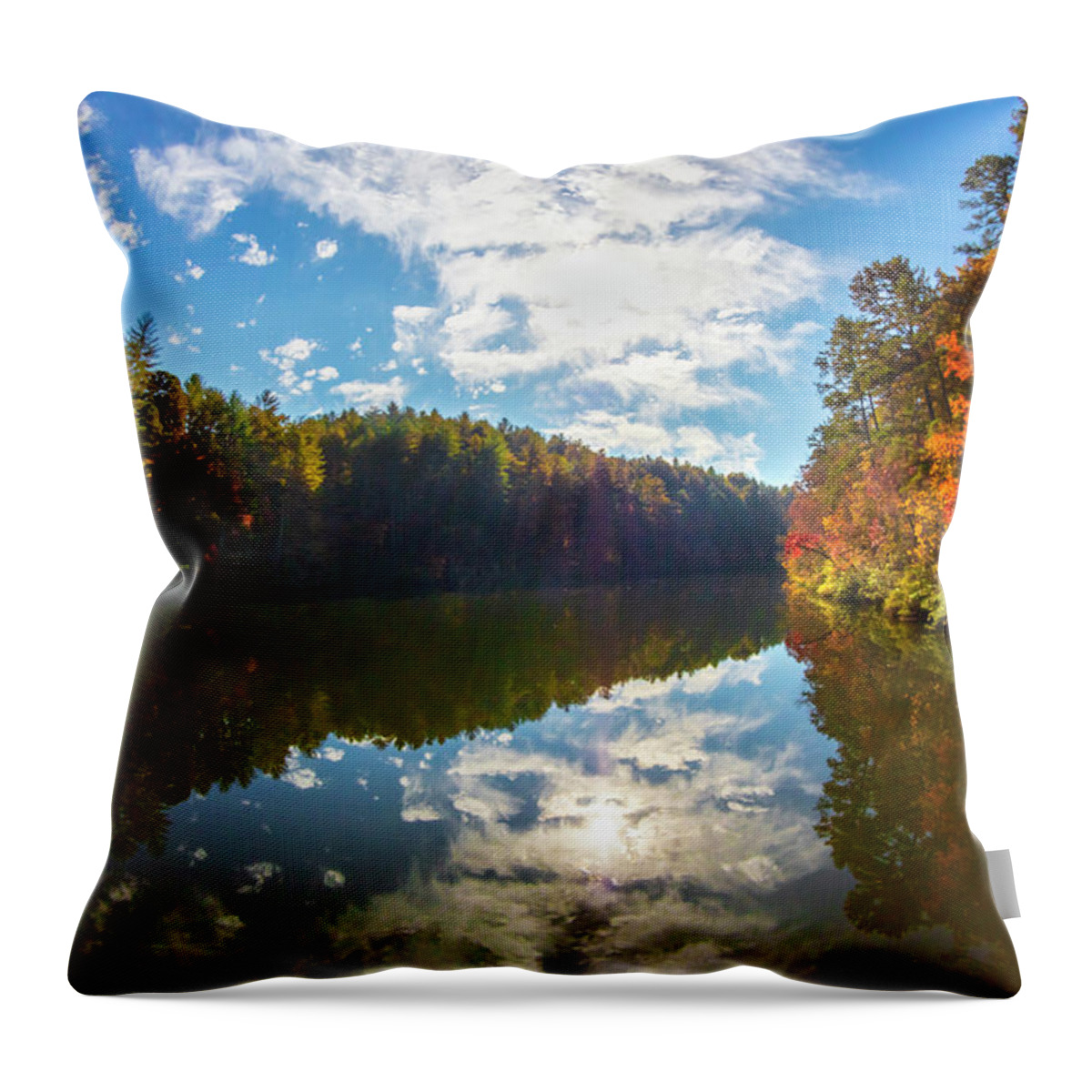 Carolina Throw Pillow featuring the photograph Beautiful Reflections at the Lake by Debra and Dave Vanderlaan
