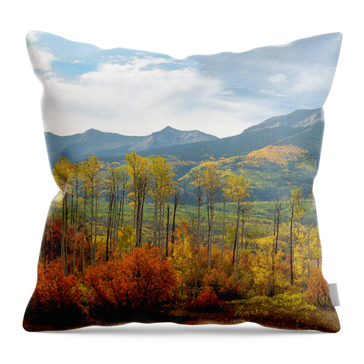 Autumn Throw Pillow featuring the photograph Beckwith Autumn by Aaron Spong
