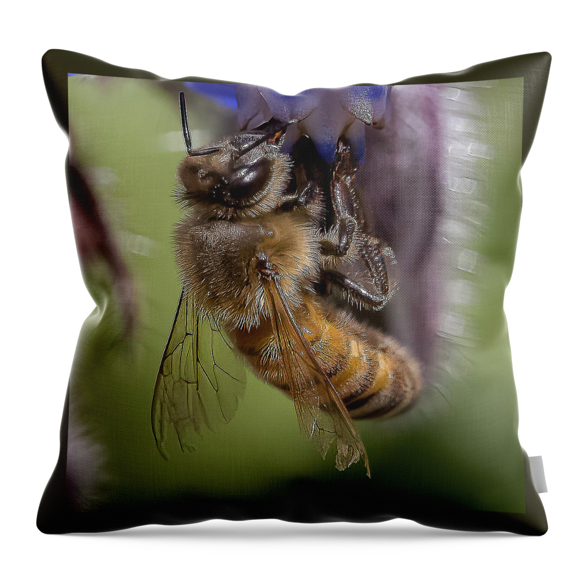 Honeybee Throw Pillow featuring the photograph Bee on Starflower by Cheri Freeman
