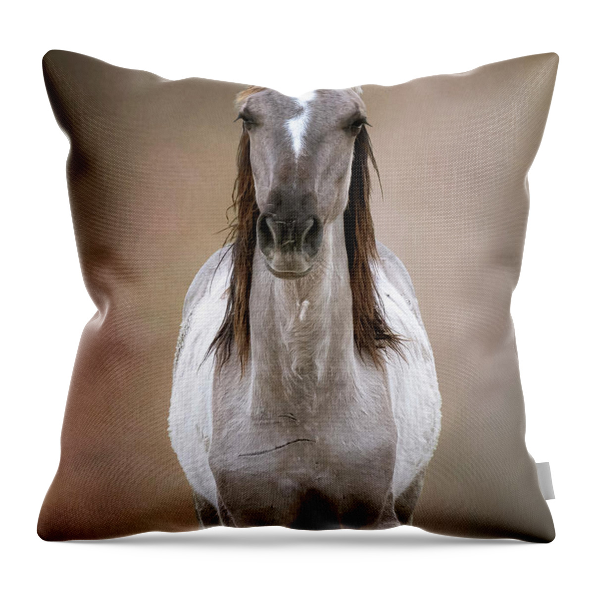 Wild Horse Throw Pillow featuring the photograph Bella by Mary Hone