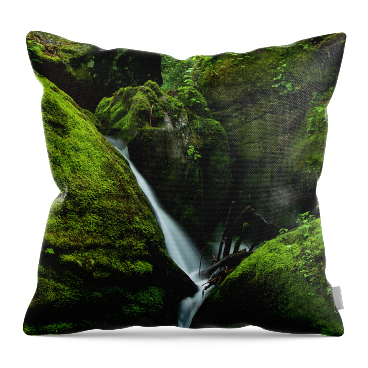 Great Smoky Mountains National Park Throw Pillow featuring the photograph Below 1000 Drips 1 by Melissa Southern