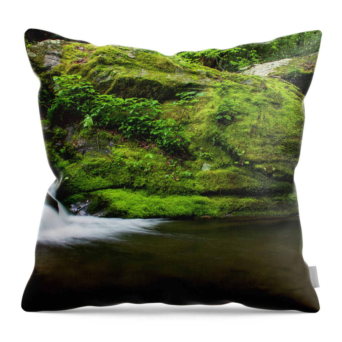 Great Smoky Mountains National Park Throw Pillow featuring the photograph Below 1000 Drips 2 by Melissa Southern
