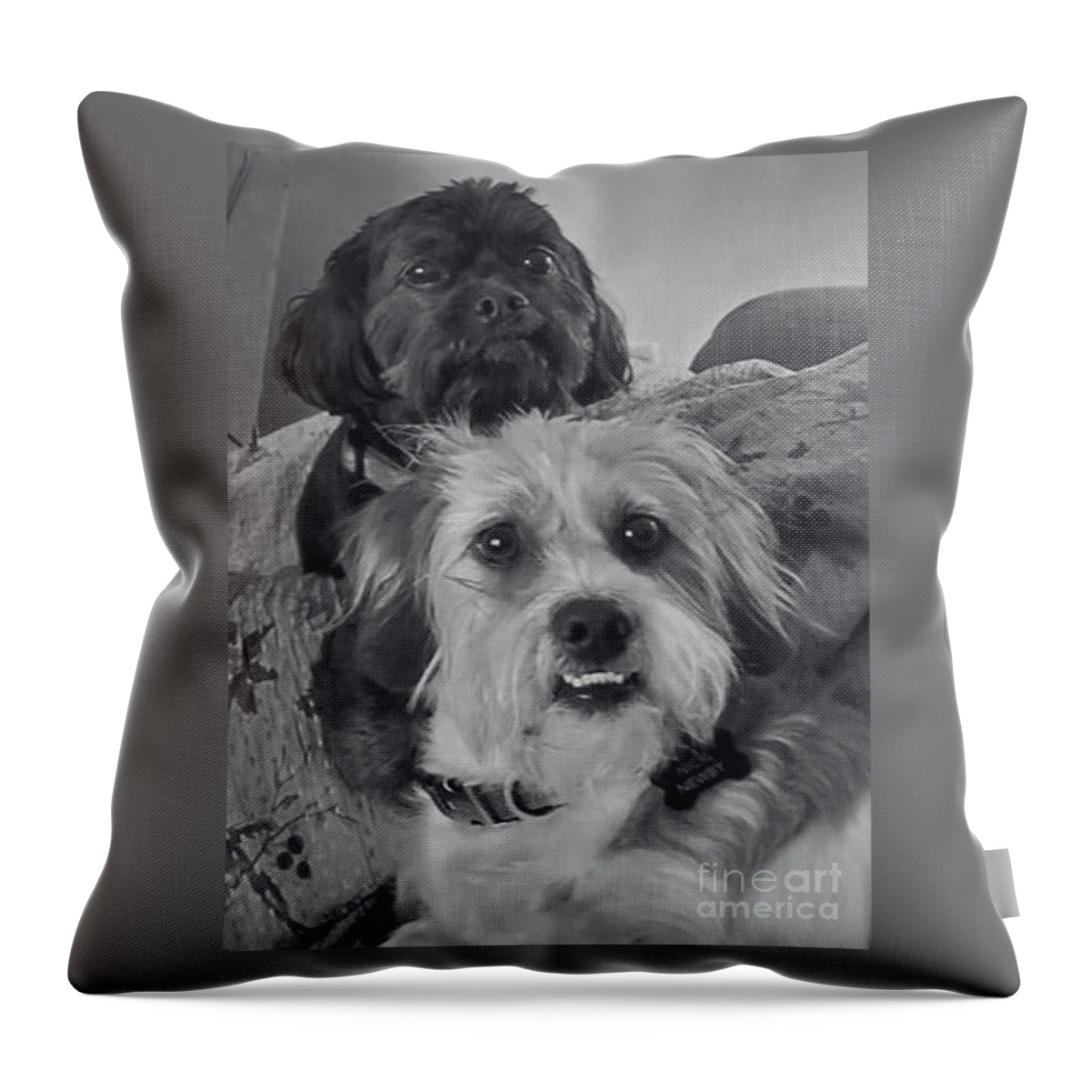 Photo Throw Pillow featuring the photograph Best Buddies by Cindy's Creative Corner