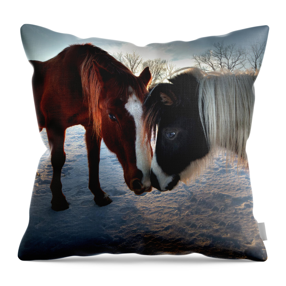 Horse Friends Pals Buddies Kissing Shetland Snow Winter Farm Rural Sunset Horses Equine Snow Mane Sweet Love Throw Pillow featuring the photograph Best Friends - two horses showing each other some affection in winter sunset by Peter Herman