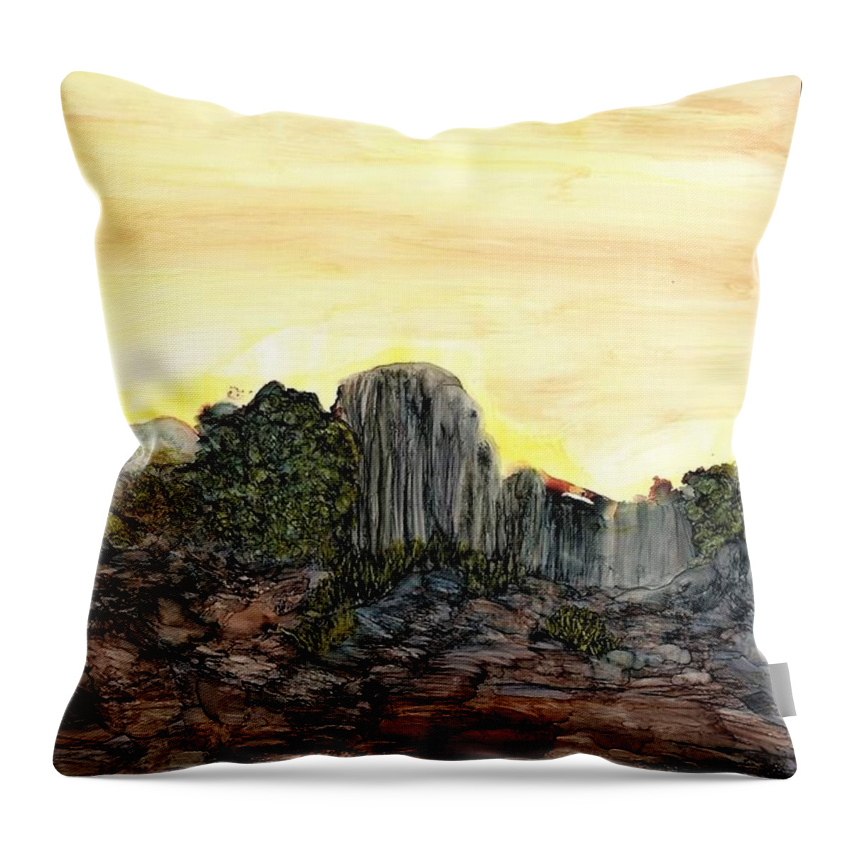 Rock Throw Pillow featuring the painting Between a rock and an arroyo by Angela Marinari