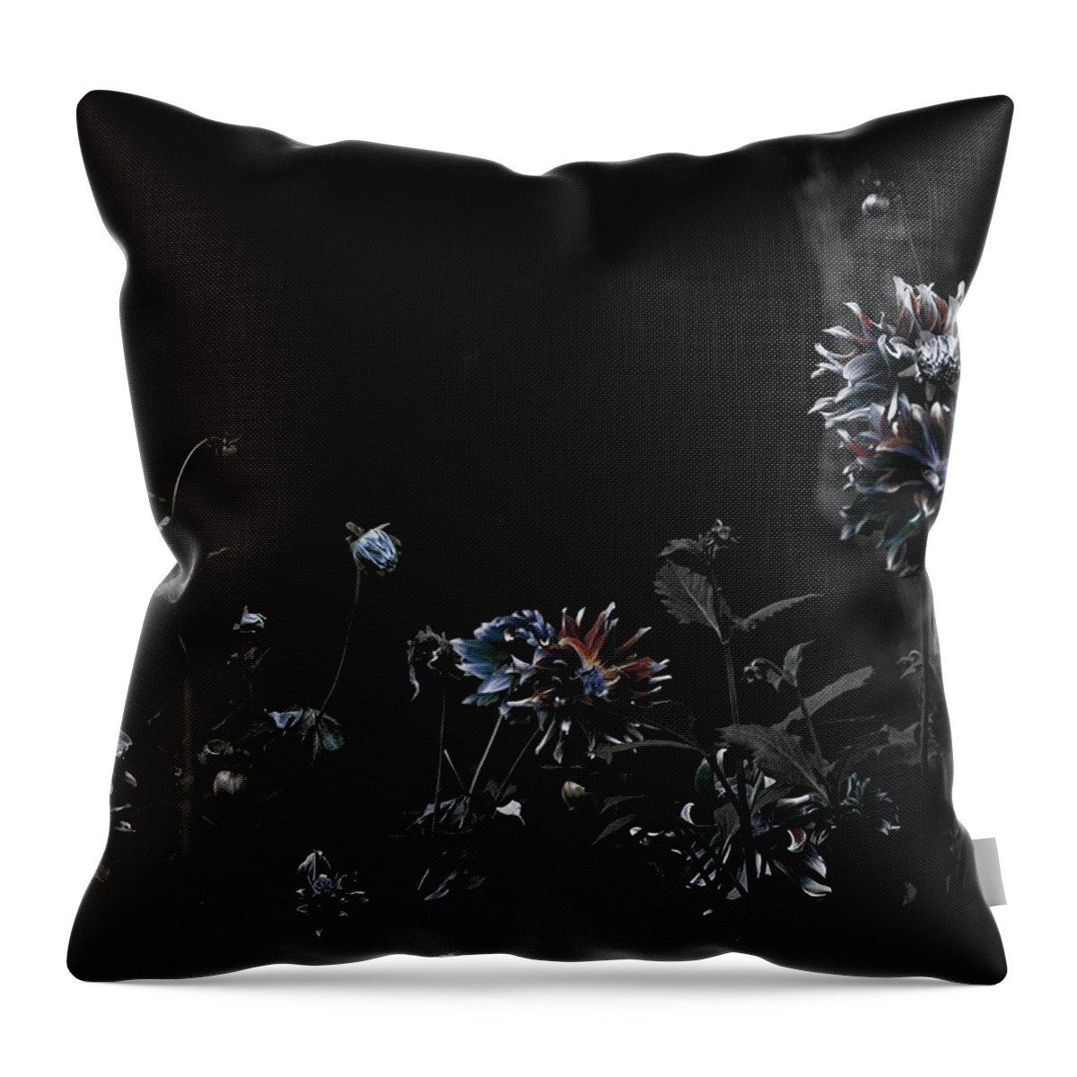 Dahlias Throw Pillow featuring the photograph Beyond the Reasonable Doubt by Cynthia Dickinson