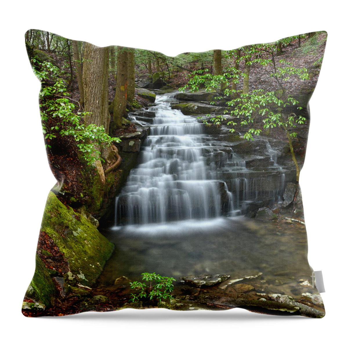 Big Branch Falls Throw Pillow featuring the photograph Big Branch Falls 1 by Phil Perkins