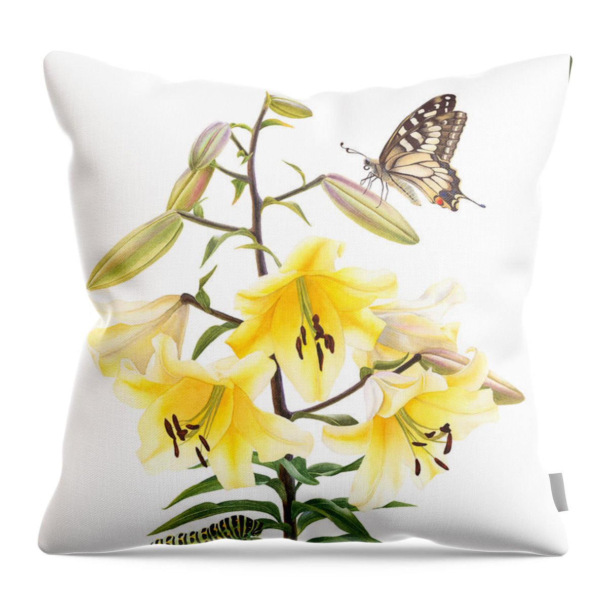 Esperoart Throw Pillow featuring the painting Big Brother Lily by Espero Art