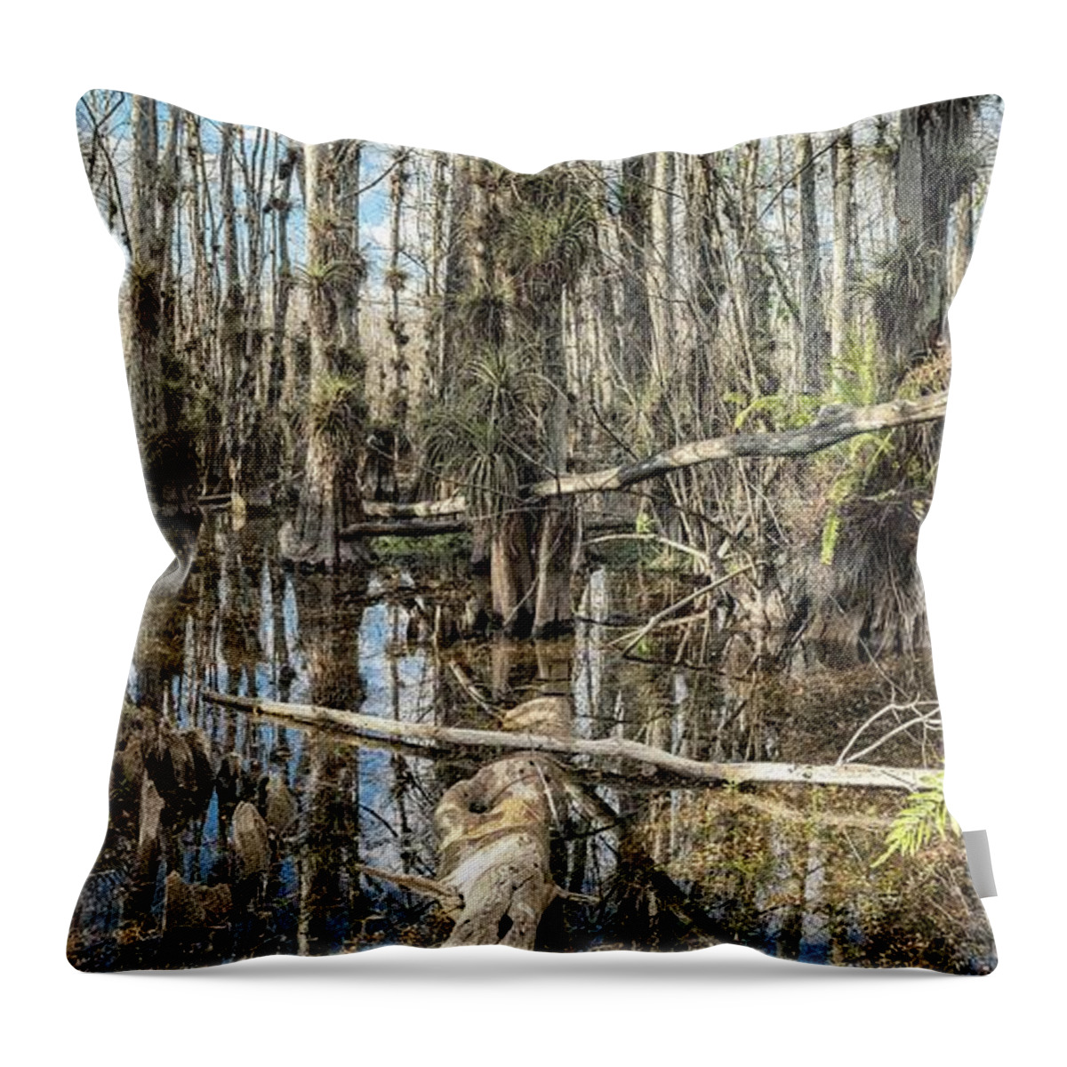 Big Cypress National Preserve Throw Pillow featuring the photograph Big Cypress Wilderness by Rudy Wilms