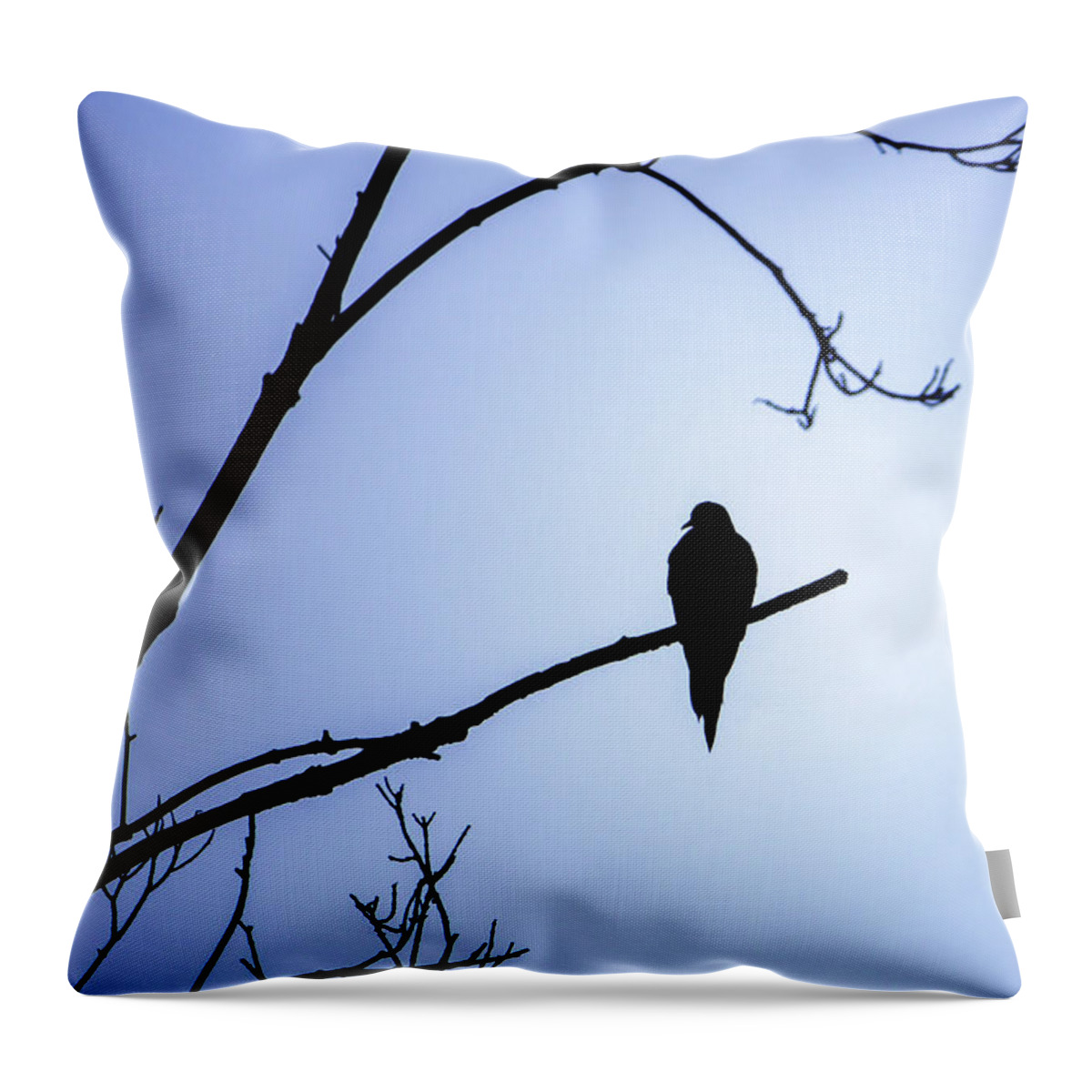 Bird Throw Pillow featuring the photograph Mourning Dove Silhouette - Blue Skies by Jason Fink