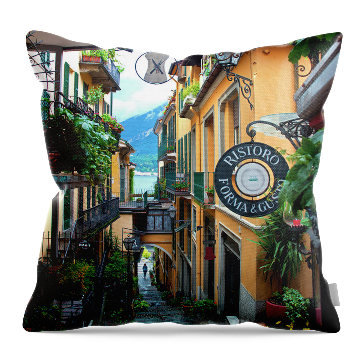https://render.fineartamerica.com/images/rendered/default/throw-pillow/images/artworkimages/medium/3/birds-eye-in-bellagio-lake-como-bellagio-italy-denise-strahm.jpg?&targetx=0&targety=-65&imagewidth=479&imageheight=609&modelwidth=479&modelheight=479&backgroundcolor=5F6456&orientation=0&producttype=throwpillow-14-14