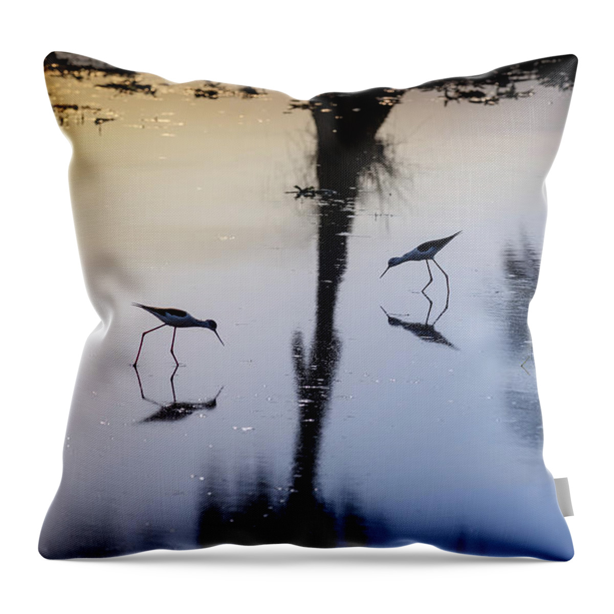 Amaurornis Phoenicurus Throw Pillow featuring the photograph Birds of a Feather Dine together by Manpreet Sokhi