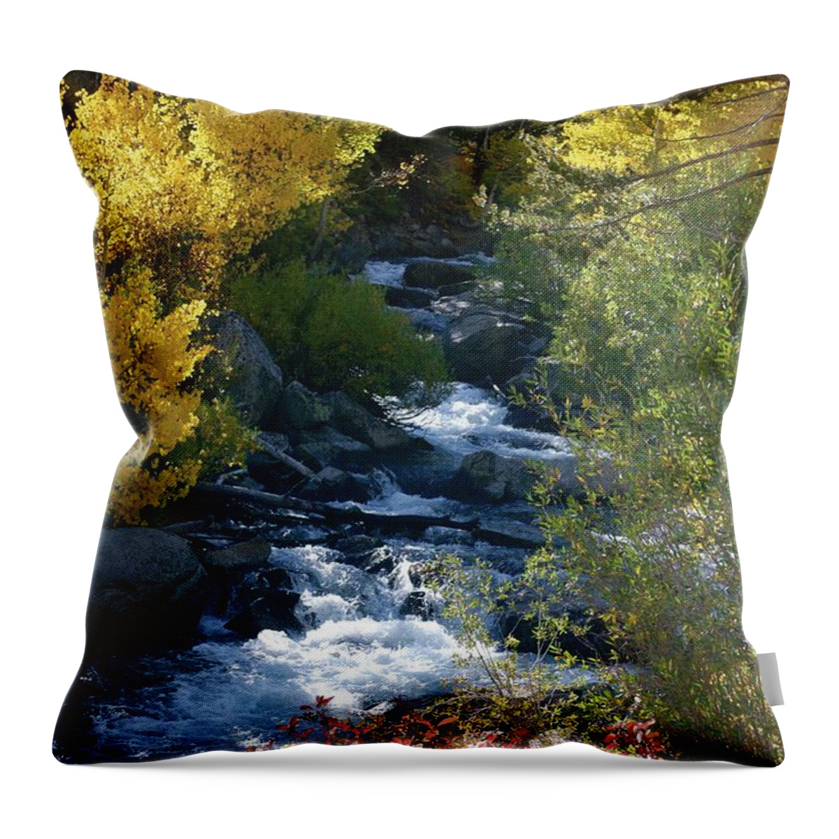 Bishop Creek Throw Pillow featuring the photograph Fall Color and Sun Rays on Bishop Creek by Bonnie Colgan