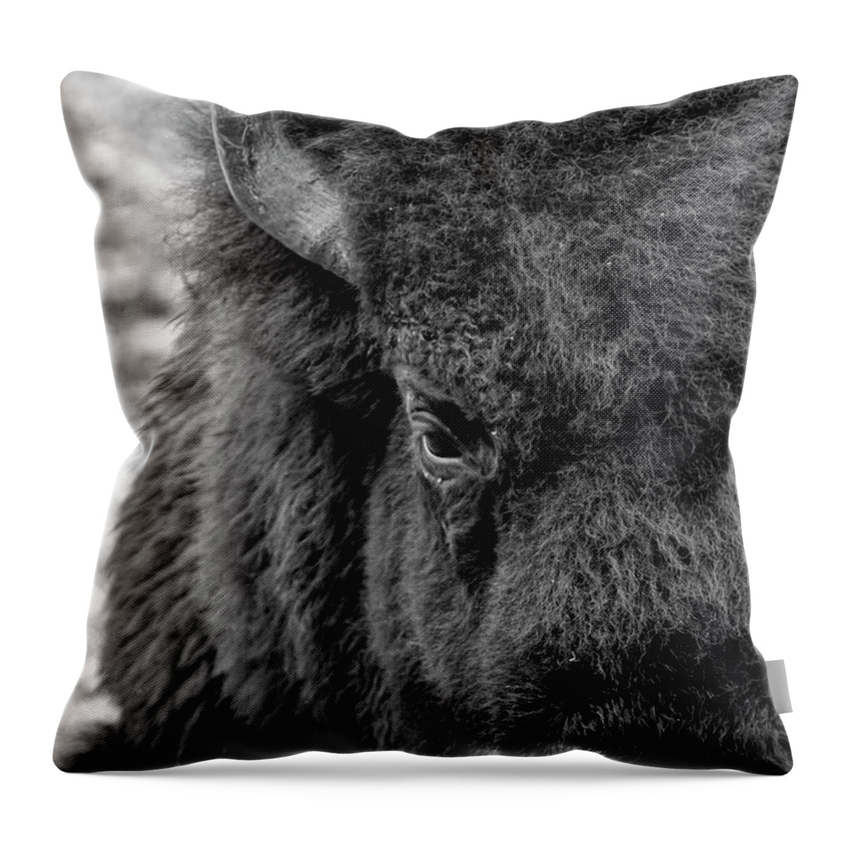 Bison Throw Pillow featuring the photograph Bison by Holly Ross