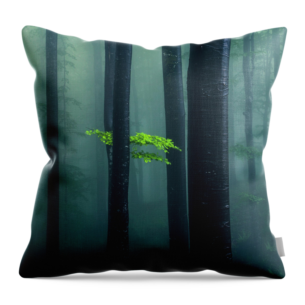 Mountain Throw Pillow featuring the photograph Bit Of Green by Evgeni Dinev