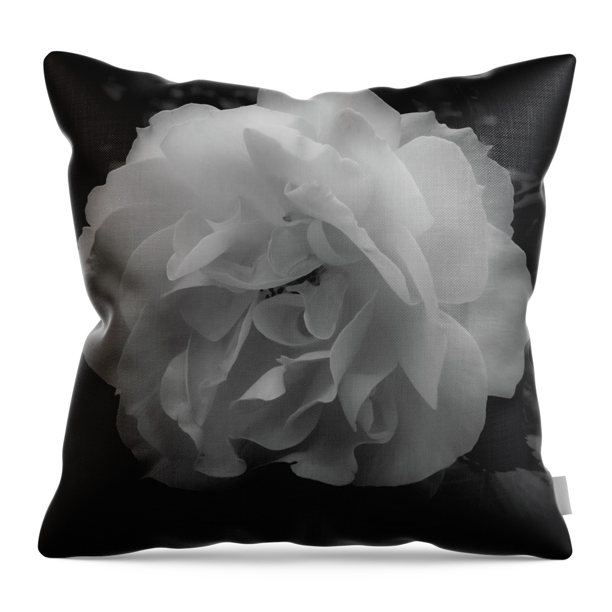 Flower Throw Pillow featuring the photograph Black and White by Anamar Pictures