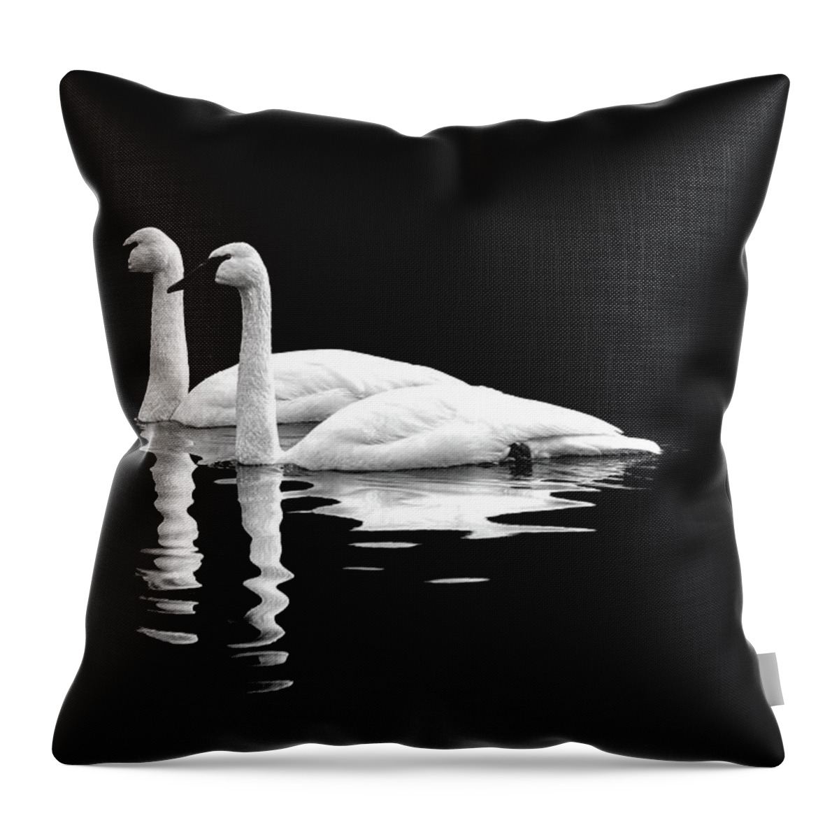 Swan Throw Pillow featuring the photograph Black and White Beauty by Jerry Cahill