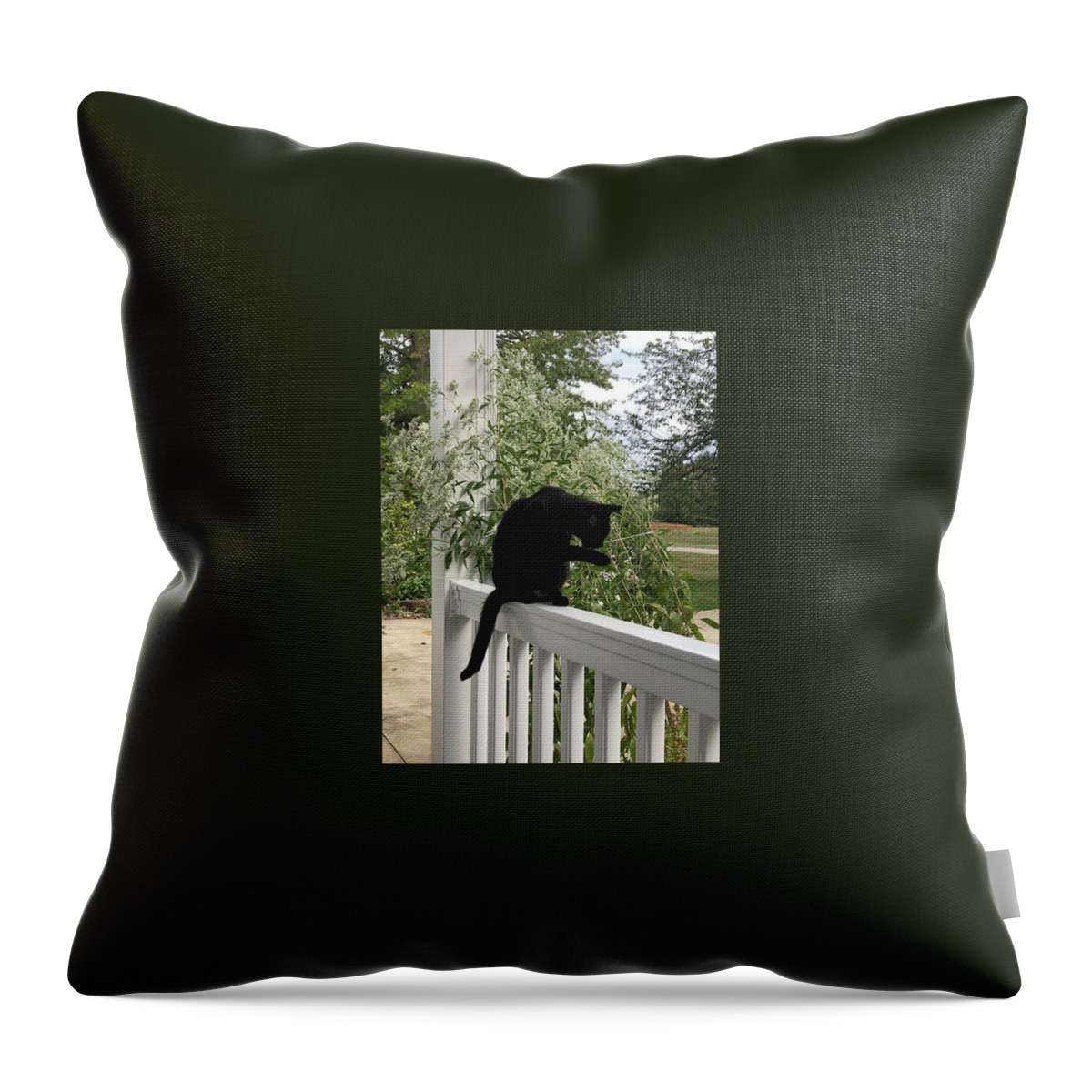 Black Cat Throw Pillow featuring the photograph Black Cat Bathing by Valerie Collins