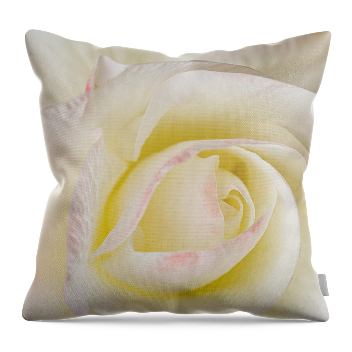 Abstract Throw Pillow featuring the photograph Blooming vision in white by Manpreet Sokhi
