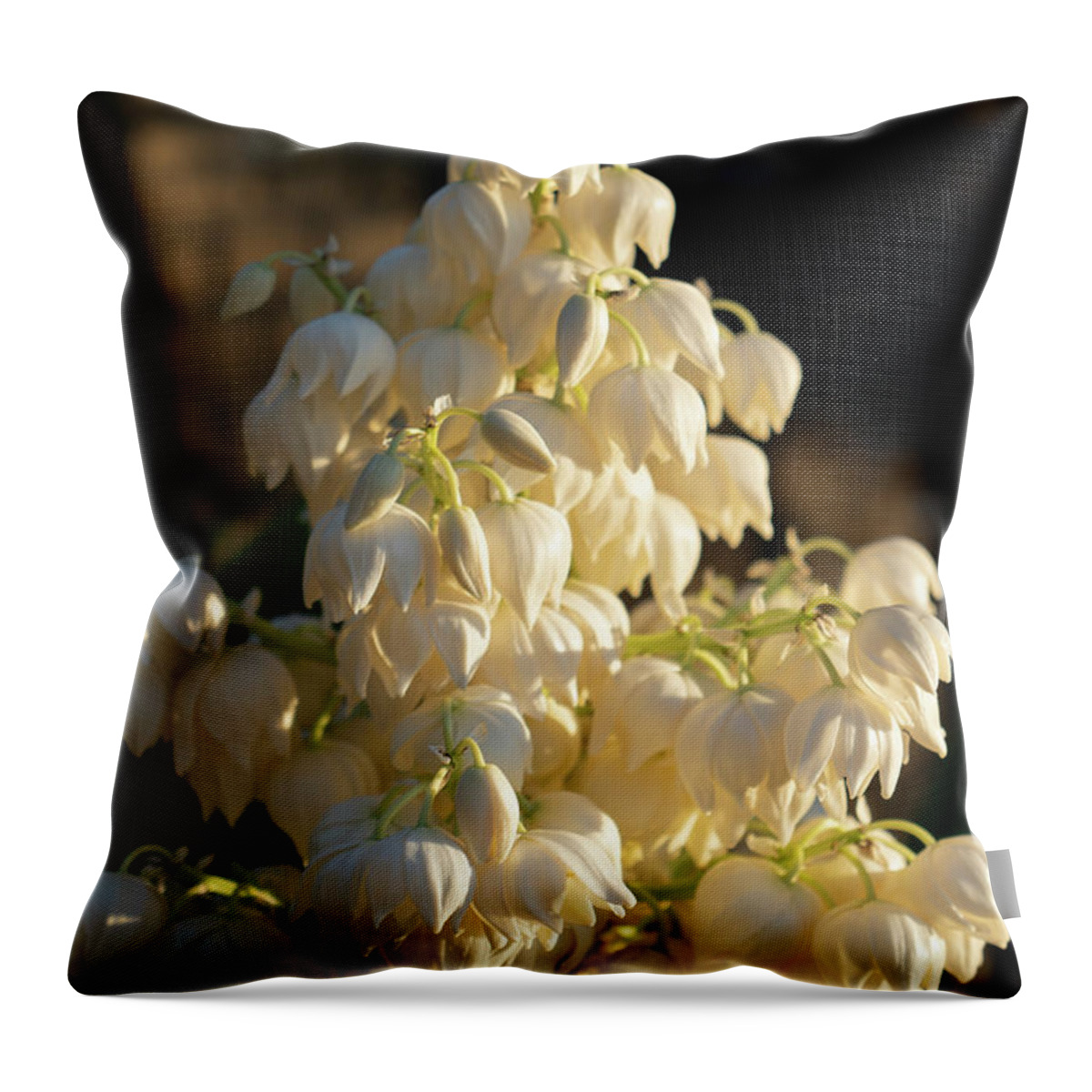 Yucca Palm Throw Pillow featuring the photograph Blossoms of a Yucca Palm in the golden sunlight 1 by Adriana Mueller