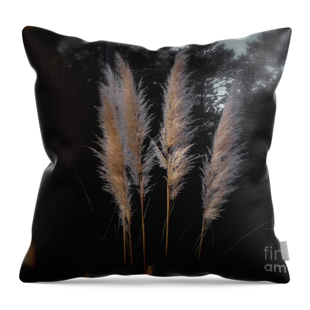Grass Throw Pillow featuring the photograph Blowing in the Wind by Judy Hall-Folde