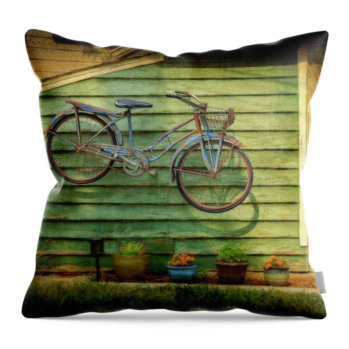 Aib_2022 #2551 Throw Pillow featuring the photograph Blue Bicycle on the Wall by Craig J Satterlee