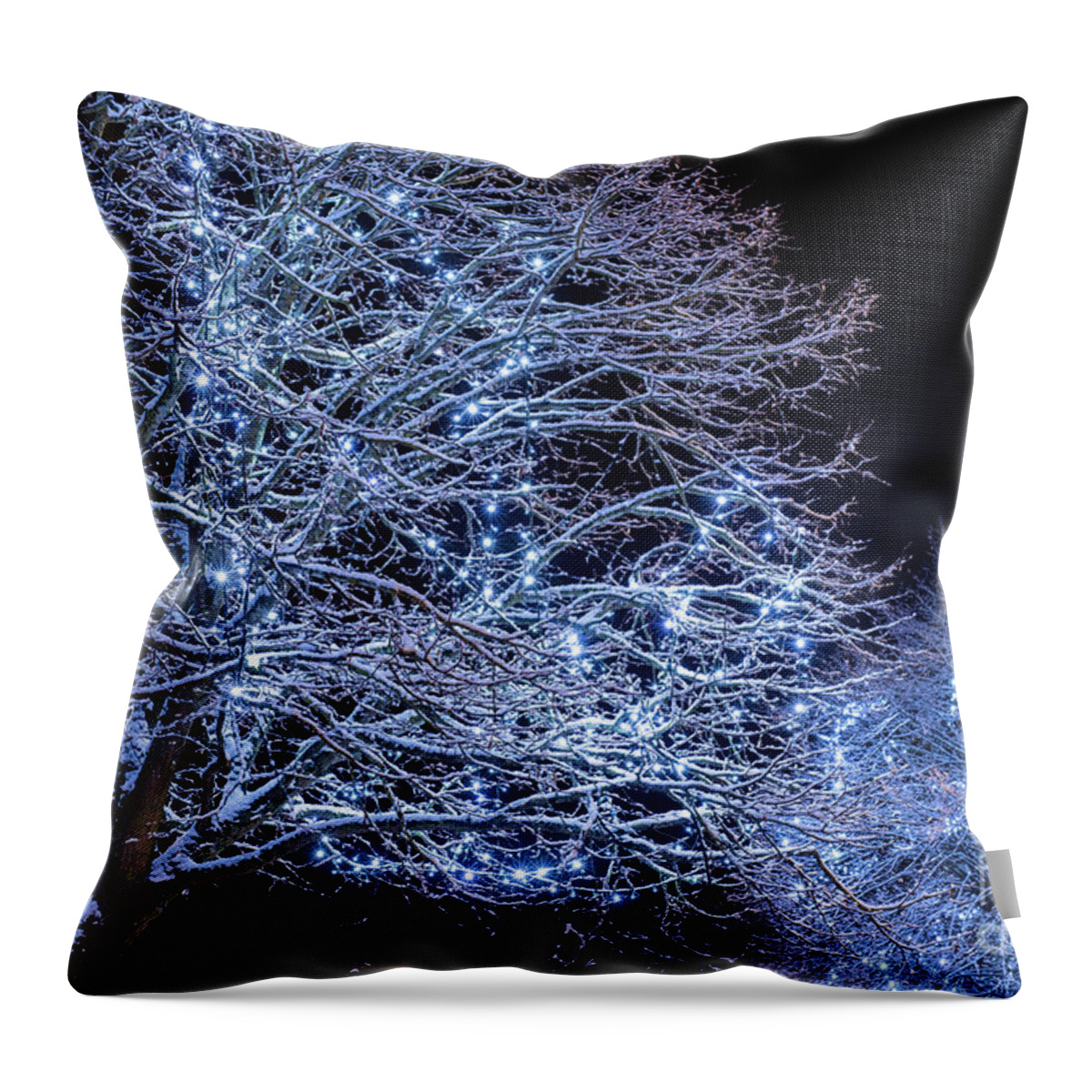 https://render.fineartamerica.com/images/rendered/default/throw-pillow/images/artworkimages/medium/3/blue-christmas-lights-in-the-night-snow-tim-gainey.jpg?&targetx=-119&targety=0&imagewidth=718&imageheight=479&modelwidth=479&modelheight=479&backgroundcolor=383C53&orientation=0&producttype=throwpillow-14-14