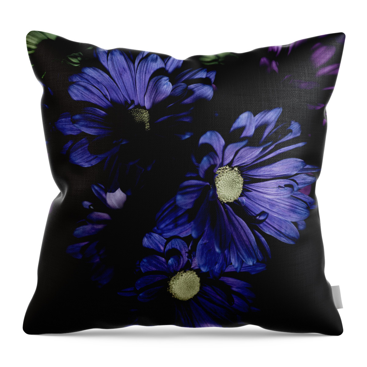 Blue Flowers Throw Pillow featuring the photograph Blue Chrysanthemum by Darcy Dietrich