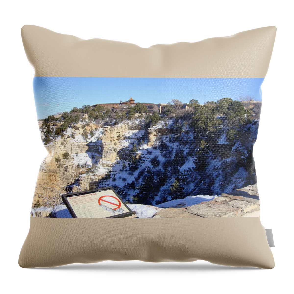  Throw Pillow featuring the painting Blue Glaze by Trevor A Smith