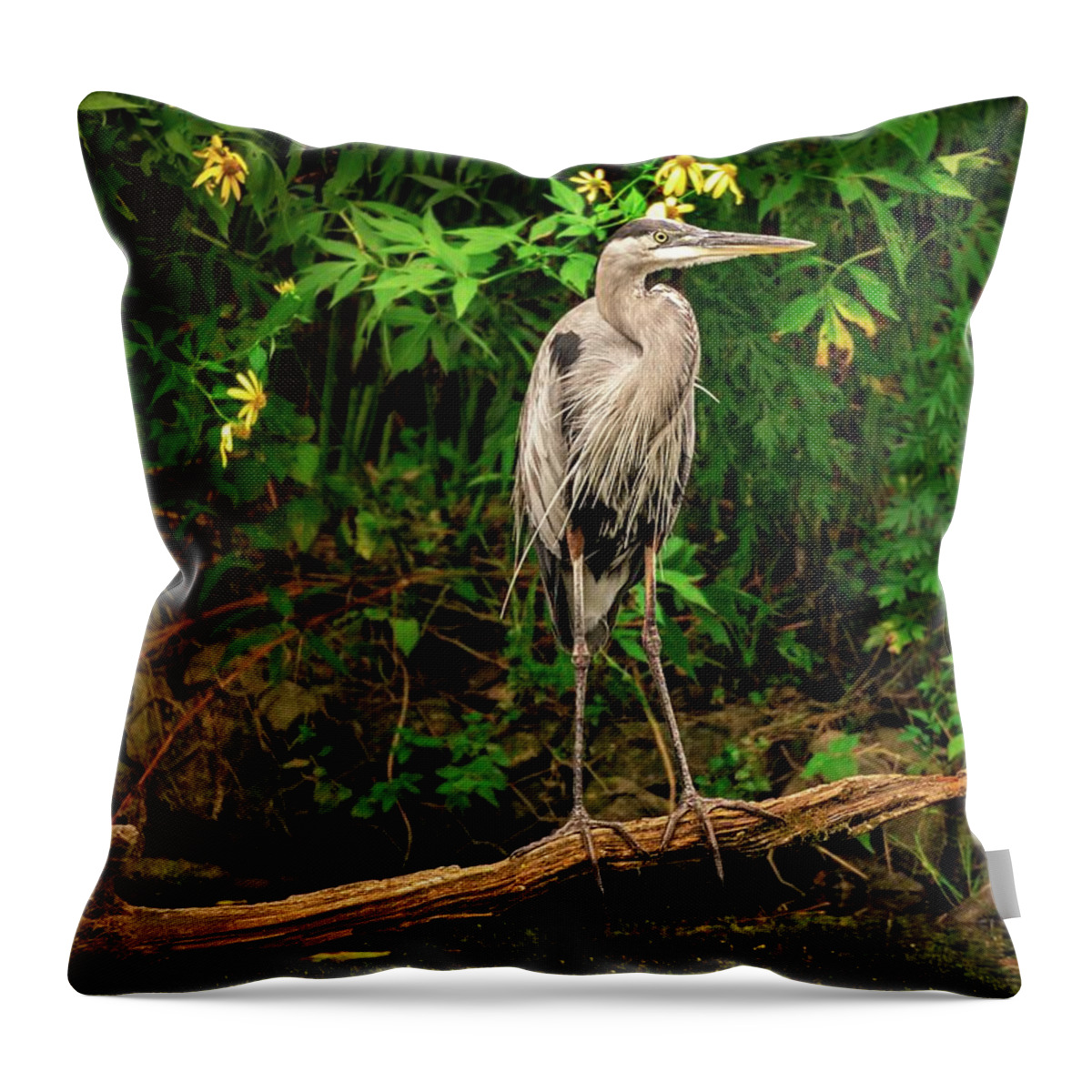 Blue Heron Throw Pillow featuring the photograph Blue Heron and Yellow Lilies Close Up by Jason Fink