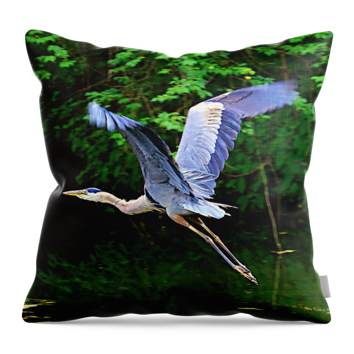 Blue Heron Throw Pillow featuring the photograph Blue Heron in Flight by Mary Walchuck