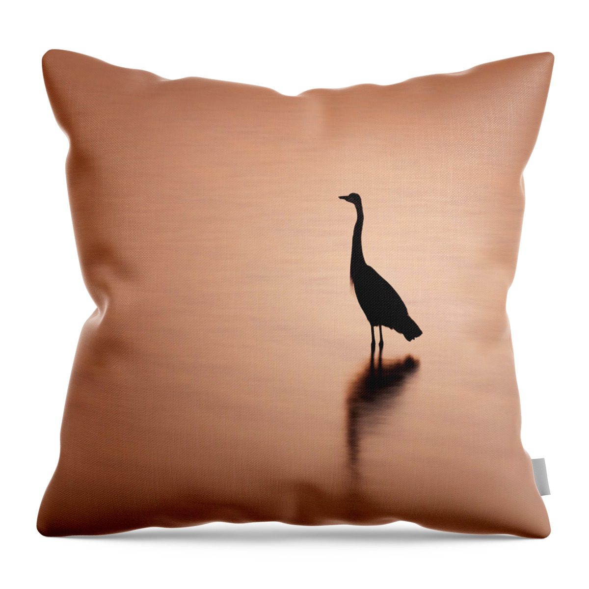 Blue Throw Pillow featuring the photograph Blue Heron Silhouette and Reflection by Jason Fink