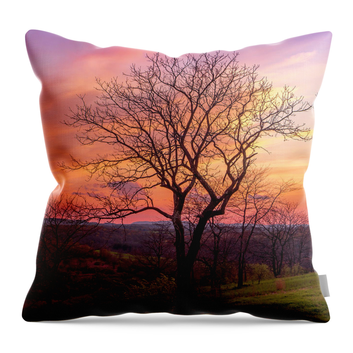 Sunset Throw Pillow featuring the photograph Blue Hour Sunset Trexler Nature Preserve by Jason Fink