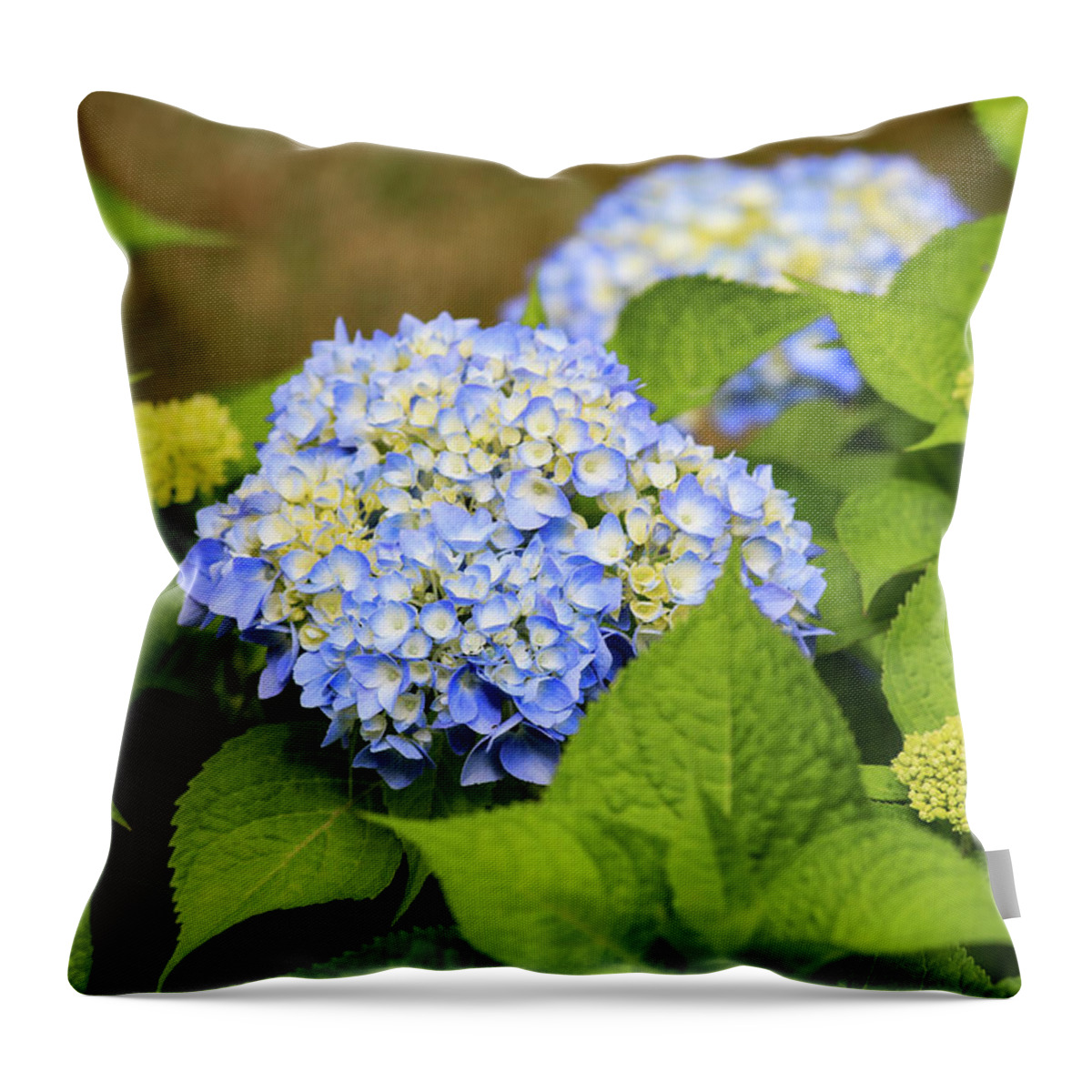 Rhode Island Throw Pillow featuring the photograph Blue Hydrangea by Tanya Owens