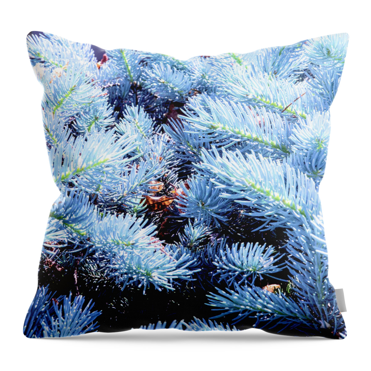 Art Throw Pillow featuring the photograph Blue Pine Needles by David Desautel