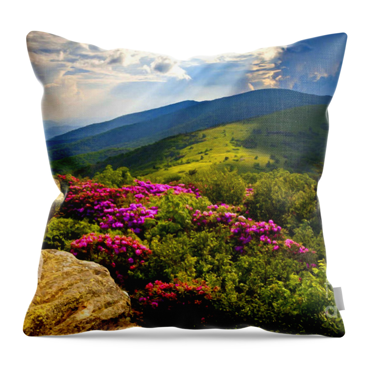 Blue Ridge Parkway Throw Pillow featuring the mixed media Blue Ridge Parkway Catawba Rhododendrons by Sandi OReilly