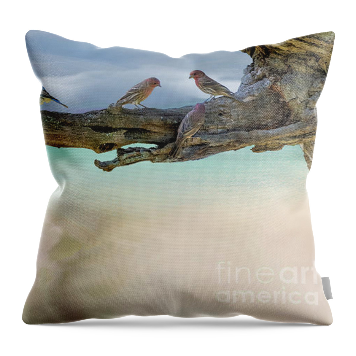 Bluebird Throw Pillow featuring the photograph Out on a Limb by Sandra Rust