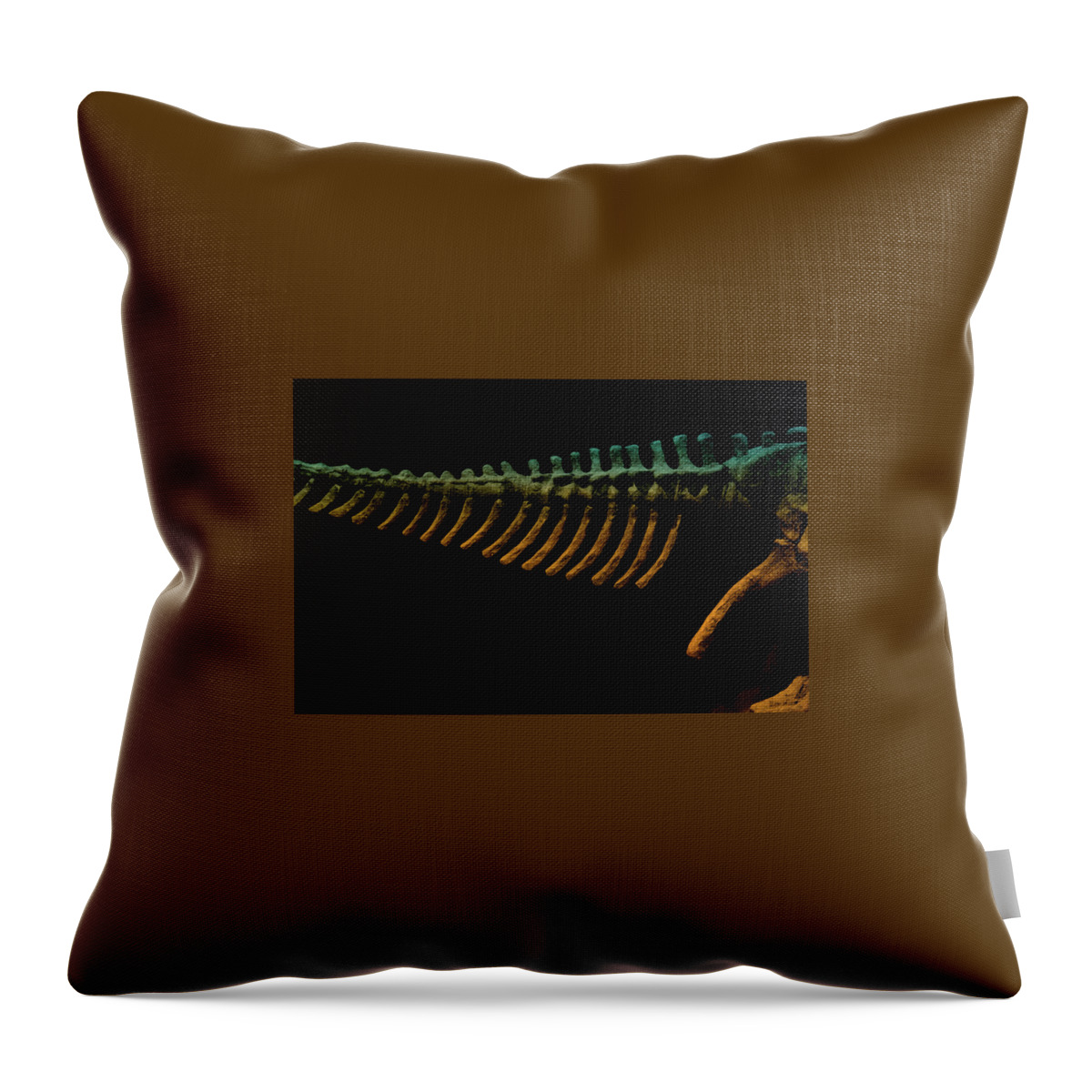 Science Throw Pillow featuring the photograph Bones by Cynthia Dickinson