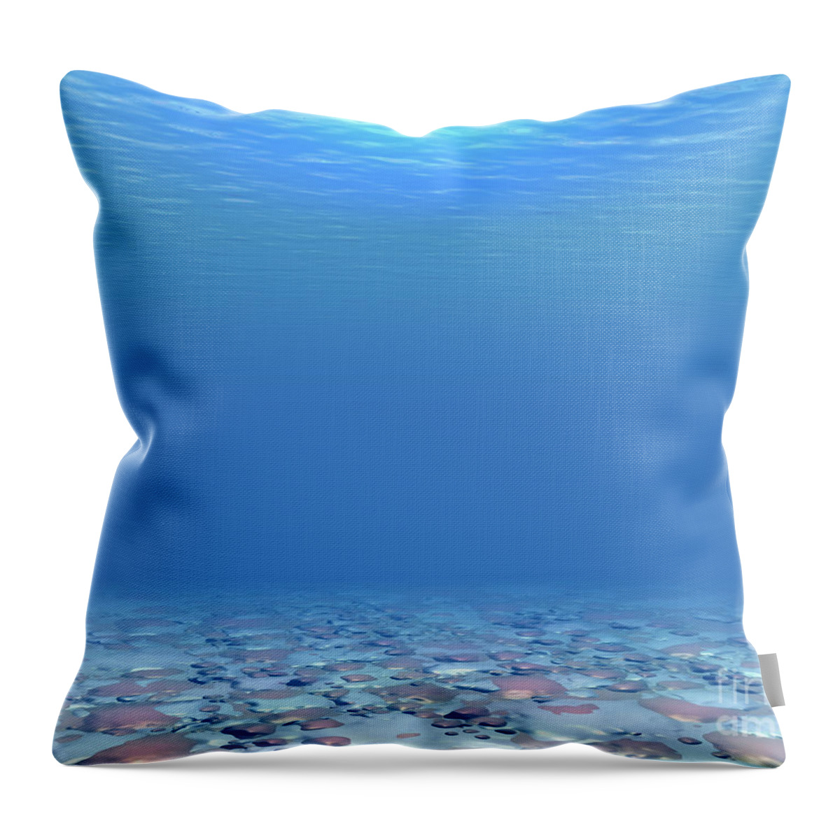 Sea Throw Pillow featuring the digital art Bottom of The Sea by Phil Perkins