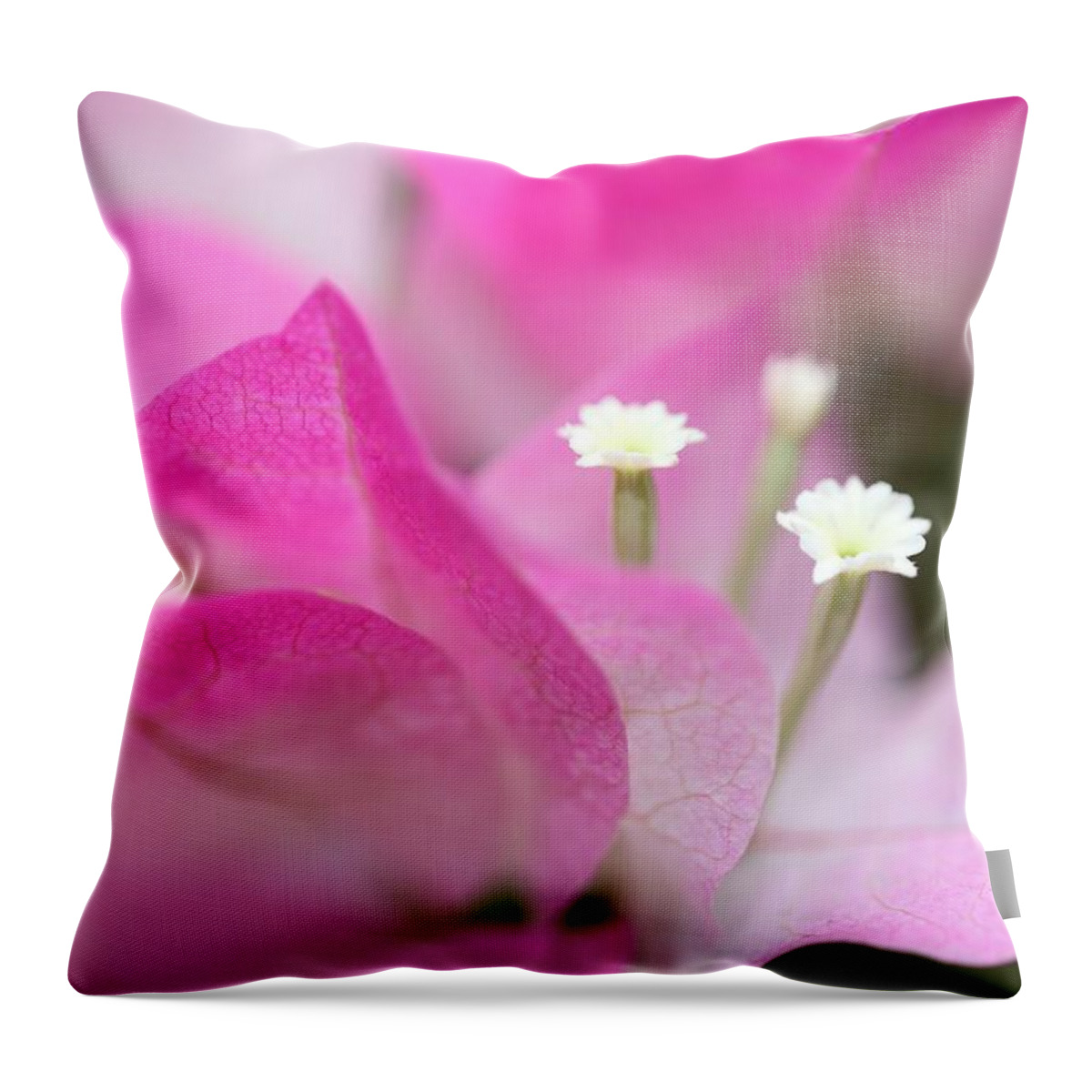 Bougainvillea Throw Pillow featuring the photograph Bougainvillea by Mingming Jiang