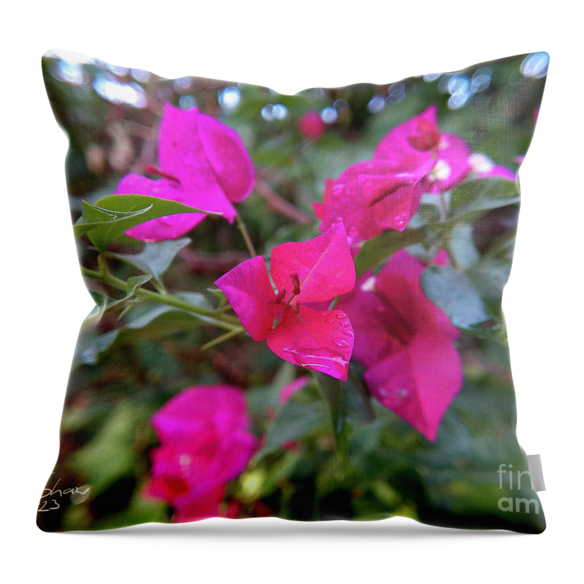 Bougainvillea Throw Pillow featuring the photograph Bougainvillea Near Sunset by Rohvannyn Shaw