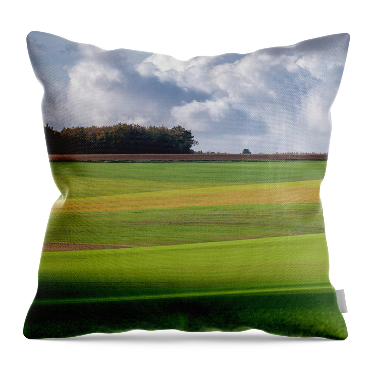 Agriculture Throw Pillow featuring the photograph Bourgogne by Francesco Riccardo Iacomino