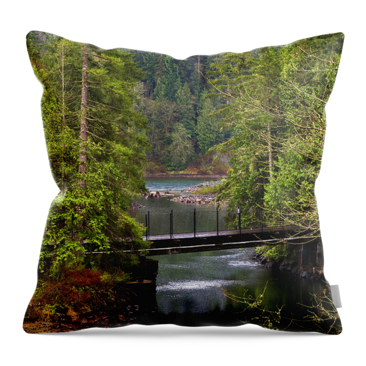 Alex Lyubar Throw Pillow featuring the photograph Bridge over the forest stream by Alex Lyubar