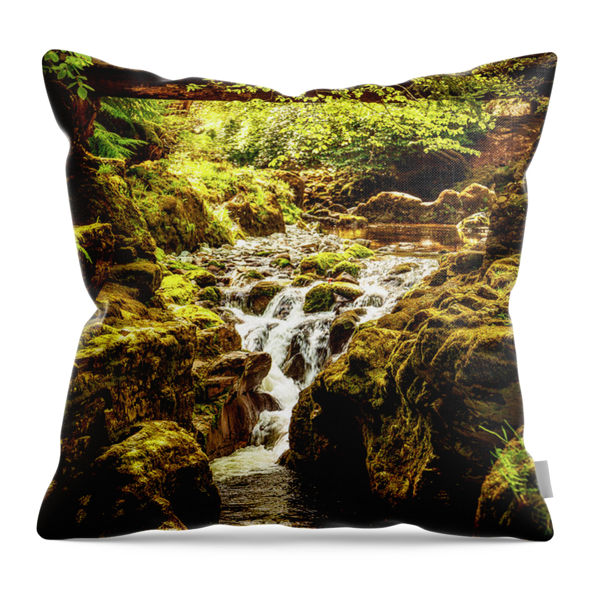 Shimna River Throw Pillow featuring the photograph Bridge over the Shimna River by Bradley Morris