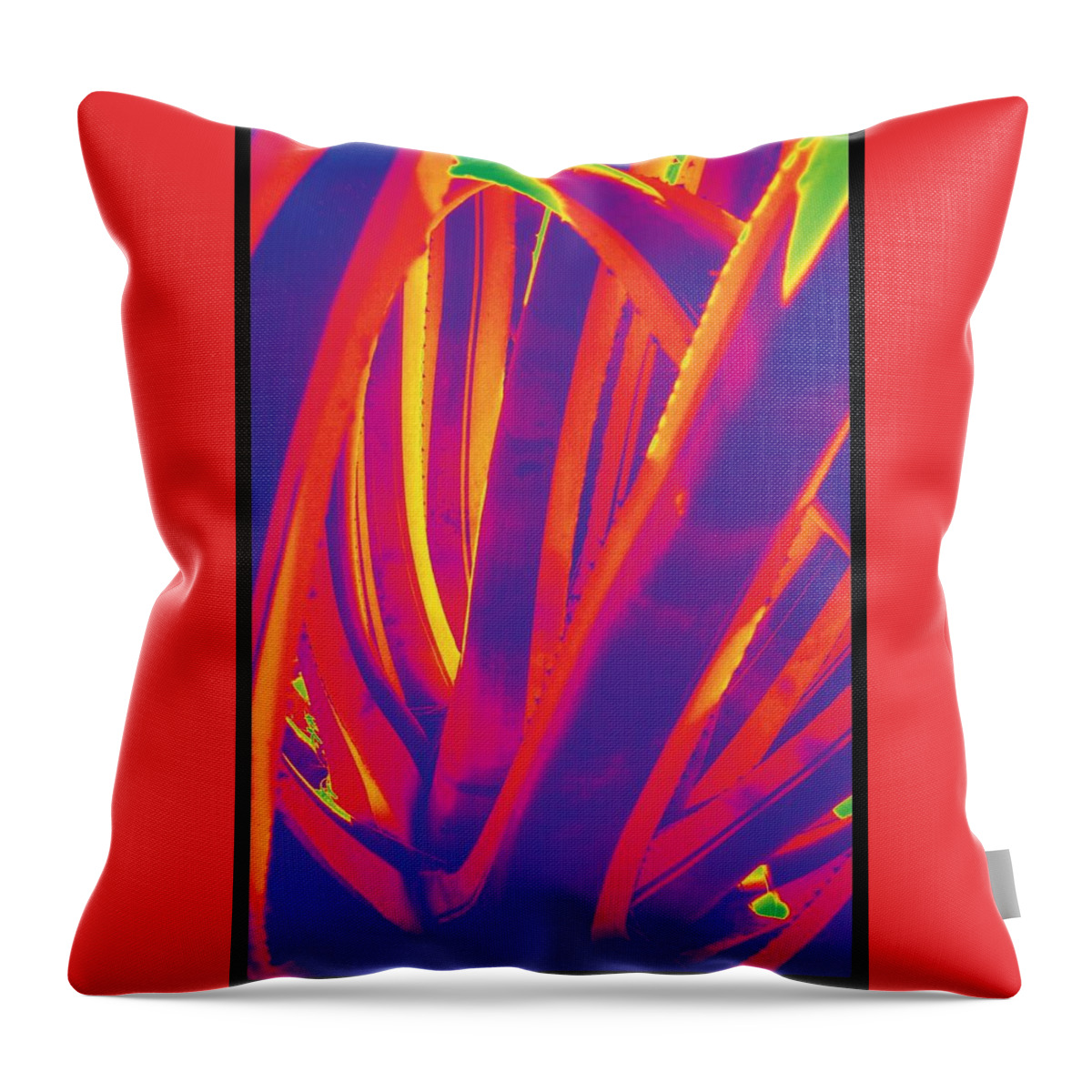Cactus Throw Pillow featuring the photograph Bright Cactus by Vivian Aumond