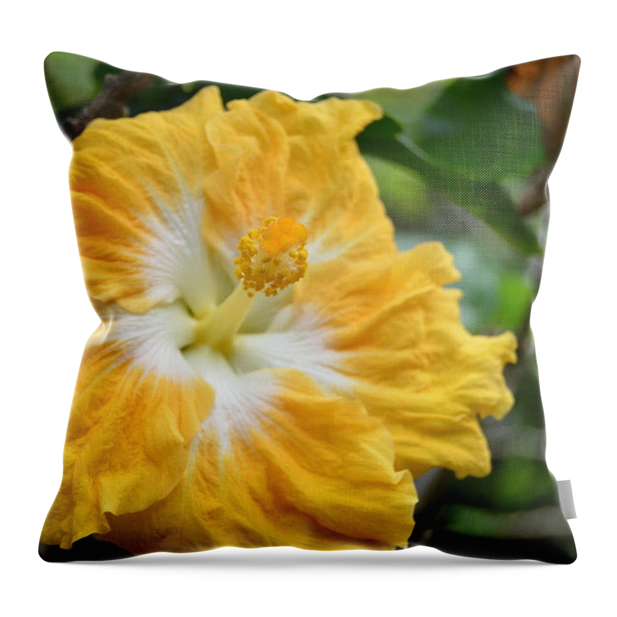 Flower Throw Pillow featuring the photograph Bright Yellow White Hibiscus by Amy Fose