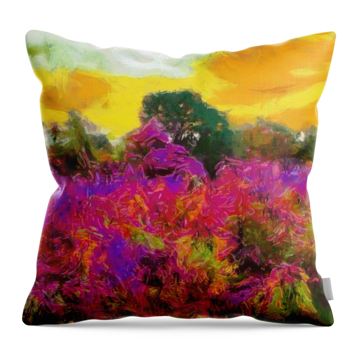 Meadow Throw Pillow featuring the mixed media Brilliant Meadow by Christopher Reed