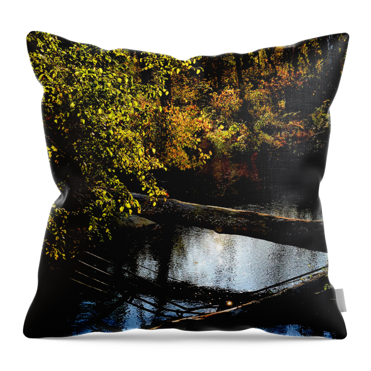 Tranquil Throw Pillow featuring the photograph Broad Run Autumn No. 1 by Steve Ember