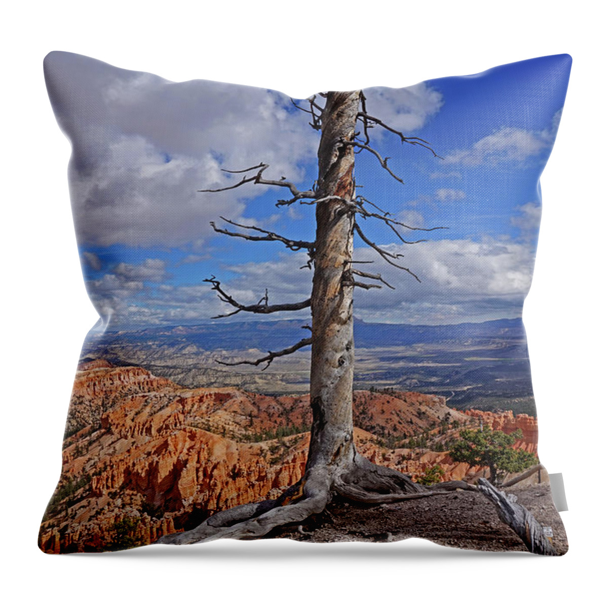 Bryce Canyon National Park Throw Pillow featuring the photograph Bryce Canyon National Park - Still standing by Yvonne Jasinski